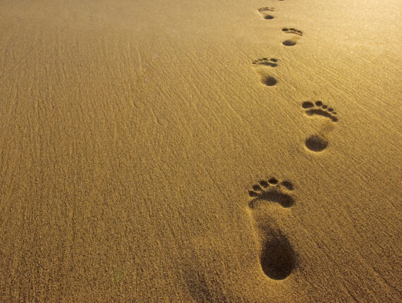 Footprints in the sand